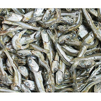 Dry anchobi 200g(ドライアンチョビ）