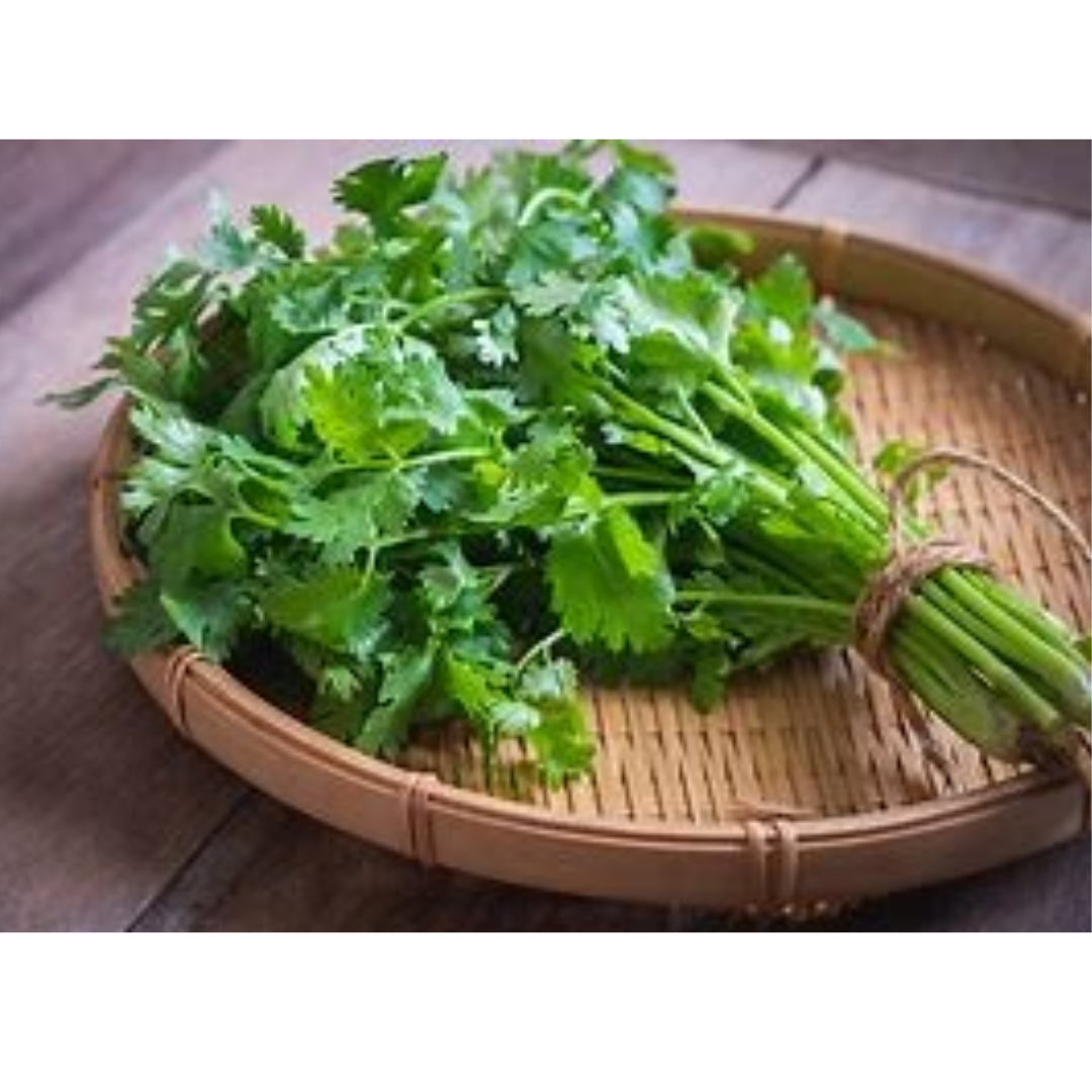 နံနံပင် Coriander Leaves 1pack（コリアンダー）1 pck