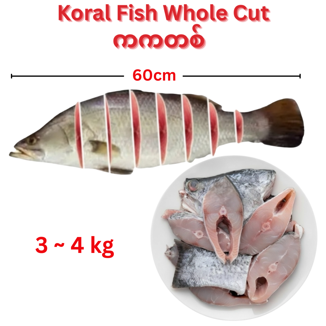 Koral Fish Whole Cut Pieces_ကကတစ်ဖြတ်ထားသည် (3kg~3.4kg)