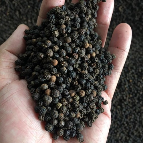 Black Pepper Whole 500g（黒コショウ）