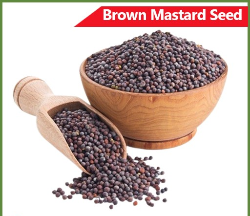 MUSTARD SEED 500g（マスタードシード）(Rai)