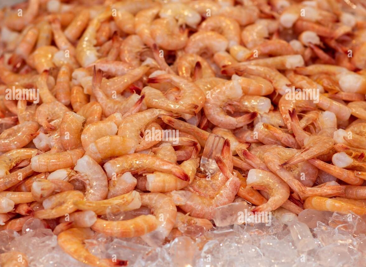 ပုဇွန်ဆိတ် Frozen Baby Shrimp 桜エビ (300g)