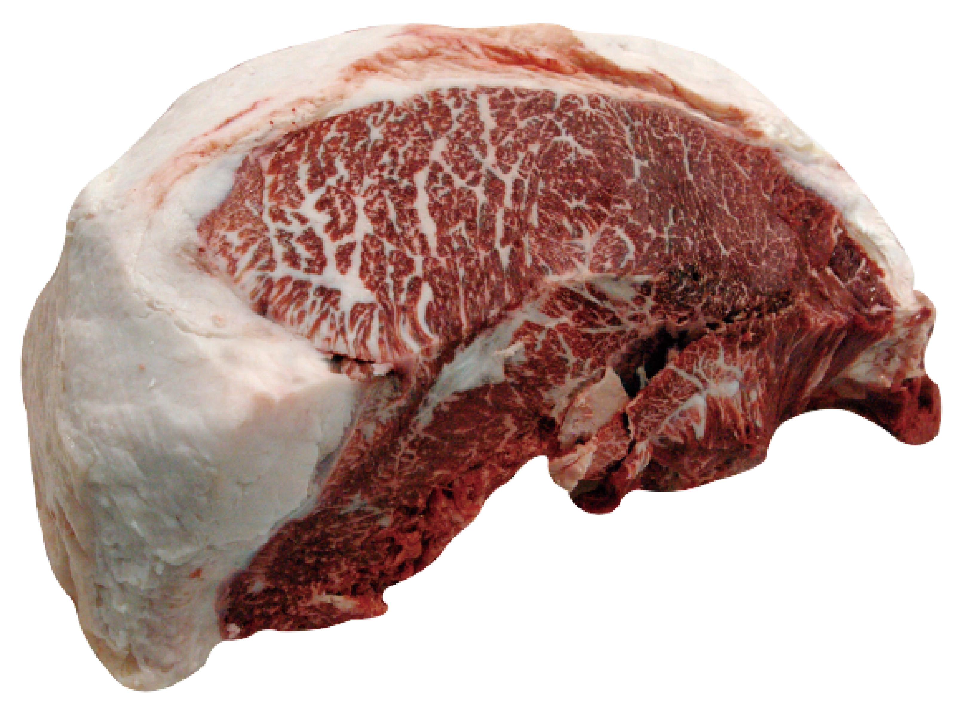 牛肉モモカブリ