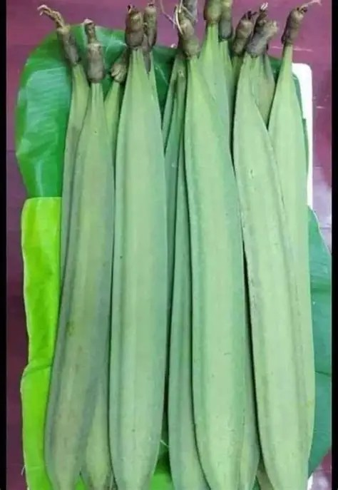 Lin Fah ကြောင်လျှာသီး (500g)