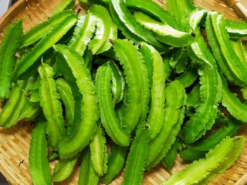 Wing Bean ပဲစောင်းလျားသီး (250g)