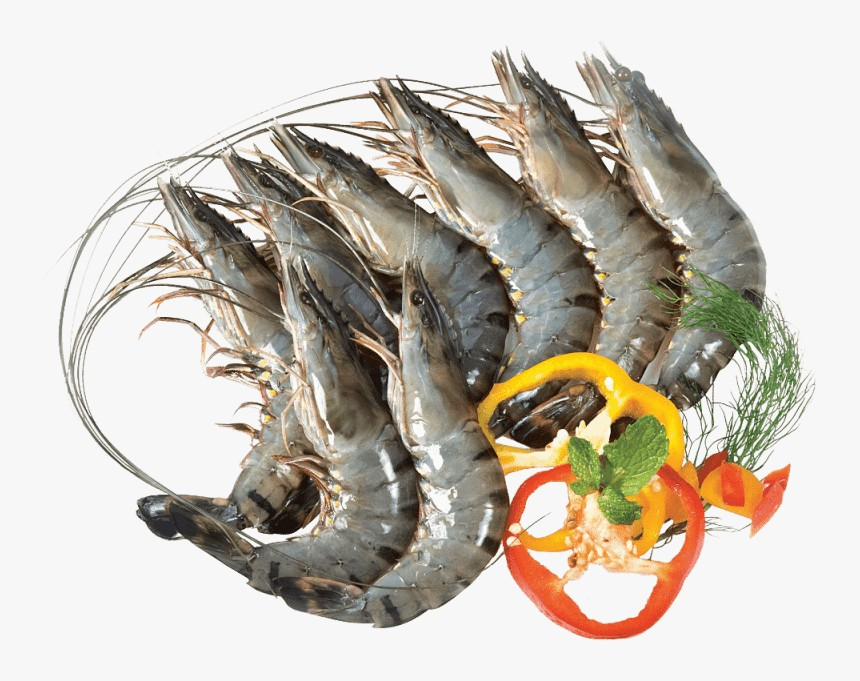 FROZEN RAW HOSO BLACK TIGER PRAWN (Size S) (250g)