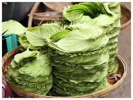 ကွမ်းရွက် Betel Paan leaves (500gm)