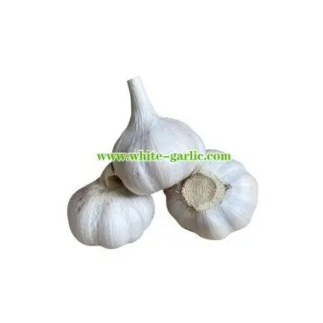 Garlic Wholeにんにく (2pcs / 100g)