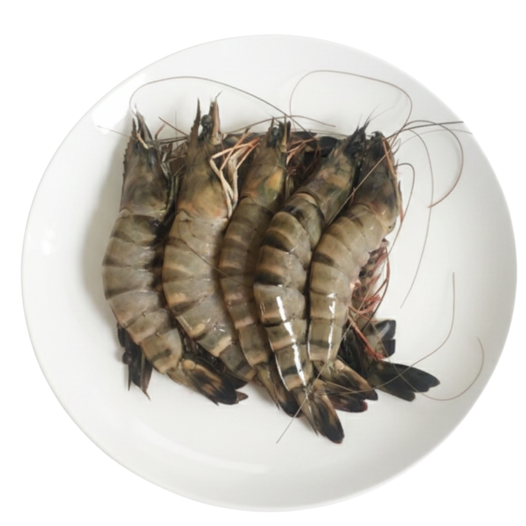 Myanmarကျားပုဇွန် Black Tiger Shrimp(250g) in Tray Size L (4~5 pcs)