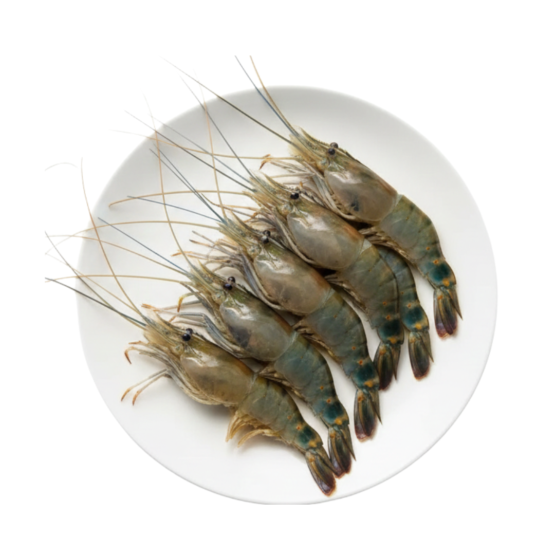 Raw Shrimp  Head On Shell On (340g) In Tray Size M ( 9~10 pcs )