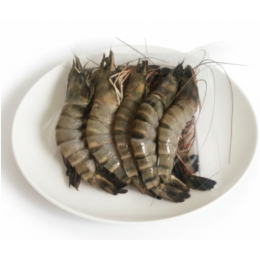 Myanmarကျားပုဇွန် Black Tiger Shrimp(240g) in Tray Size M ( 7 pcs )