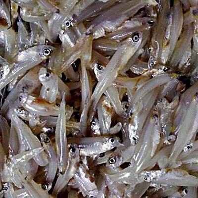 ငါးသလဲထိုးKaski 250g（カスキ）